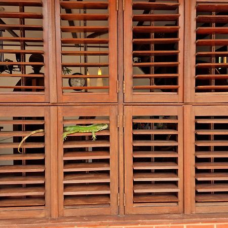 Greenheart Boutique Hotel パラマリボ エクステリア 写真